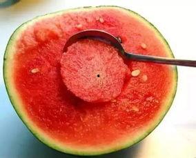 娱乐吃瓜酱毛毯,揭秘娱乐圈的温暖“秘密”