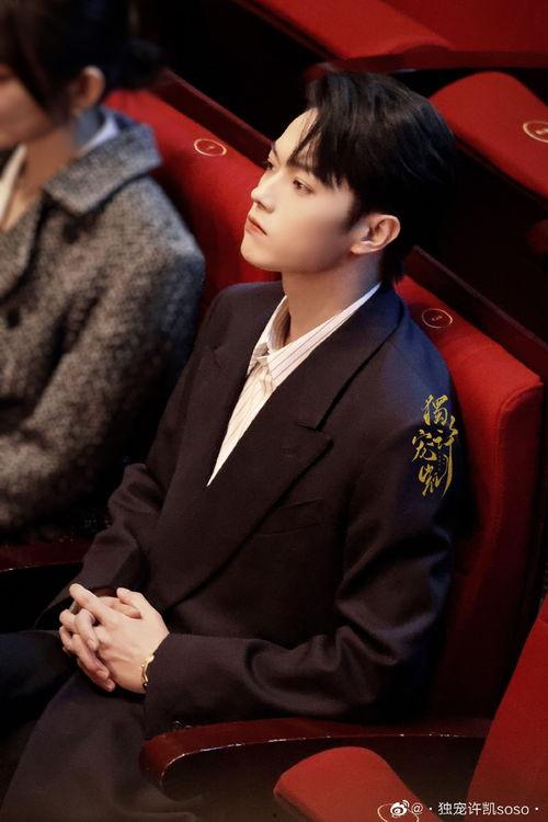 吃瓜娱乐圈许凯图片大全,娱乐圈瓜田里的帅气身影大盘点
