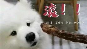 娱乐吃瓜汪,揭秘娱乐圈那些不为人知的幕后故事