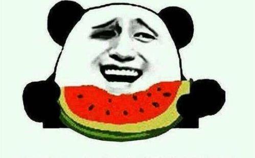 虎虎爱娱乐吃瓜,揭秘娱乐圈那些吃瓜背后的故事