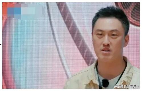 娱乐圈可靠吃瓜爆料,揭秘明星背后的惊人真相！