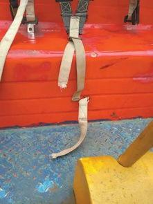 娱乐吃瓜酱安全带,揭秘娱乐圈那些不为人知的幕后故事